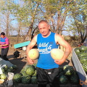 ���������� �����-���������, ���� ������� Mersedes, 66 ���, ������������ ��� ������