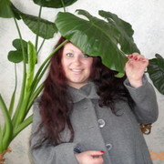 ���������� �����, ���� ������� �����, 38 ���, ������������ ��� ������, ����� � ���������, c�������� ���������