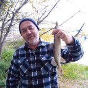  ,   , 57 ,   ,   