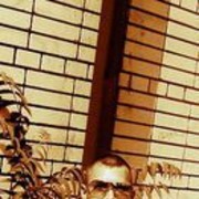  ,   , 34 ,  