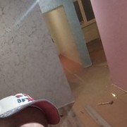 ���������� ������, ���� ������� ������, 44 ����, ������������ ��� ������, ����� � ���������, c�������� ���������