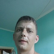  -,   , 41 ,   