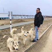  ,   Andrey, 42 ,   ,   