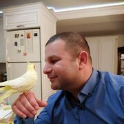 ���������� �������, ���� ������� Viorel, 40 ���, ������������ ��� ������, ����� � ���������