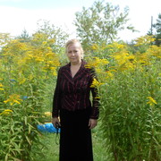 ���������� ����, ���� ������� �������, 57 ���, ������������ ��� ����� � ���������, c�������� ���������