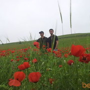 ���������� �������, ���� ������� McFann, 35 ���, ������������ ��� ������, ����� � ���������, c�������� ���������