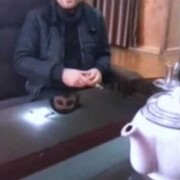 ���������� ������, ���� ������� �����, 28 ���, ������������ ��� ������, ���������