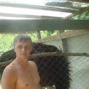 ���������� �����, ���� ������� �������, 42 ����, ������������ ��� ������