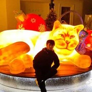 ���������� ������, ���� ������� ��������, 26 ���, ������������ ��� ������, ����� � ���������