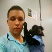  ,   ROMAN, 34 ,   ,   , c , 