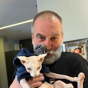 ���������� ������, ���� ������� ����, 53 ����, ������������ ��� c�������� ���������