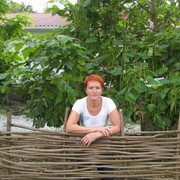 ���������� �����������, ���� ������� ��������, 68 ���, ������������ ��� ����� � ���������, c�������� ���������