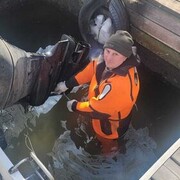 ���������� ������, ���� ������� �����, 44 ����, ������������ ��� ������, ����� � ���������