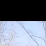 ���������� ��������, ������� ���������, 37