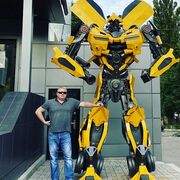 ���������� ������, ���� ������� �����, 43 ����, ������������ ��� ����� � ���������, c�������� ���������