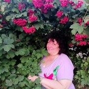  ,   , 58 ,   c 
