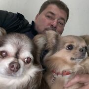 ���������� �����-���������, ���� ������� ���������, 45 ���, ������������ ��� ������, ����� � ���������, c�������� ���������, ���������