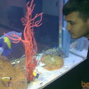  ,   Akysh, 40 ,   ,   , c , 