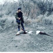 ���������� ������, ���� ������� �����, 44 ����, ������������ ��� ������, ����� � ���������