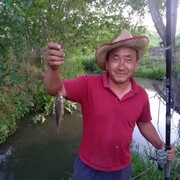  ,   Roma, 47 ,     , c 