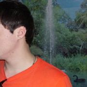 ���������� �������, ���� ������� �������, 36 ���, ������������ ��� ����� � ���������, c�������� ���������