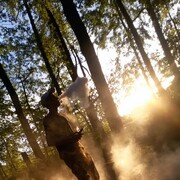 ���������� ������, ���� ������� ����, 26 ���, ������������ ��� ������, ����� � ���������, c�������� ���������