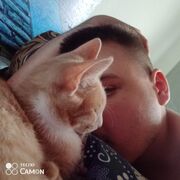  ,   , 26 ,   