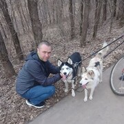 ���������� ����, ���� ������� �����, 39 ���, ������������ ��� ������, ����� � ���������, c�������� ���������