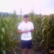 ���������� ������, ���� ������� �����, 44 ����, ������������ ��� ������, ����� � ���������, c�������� ���������