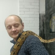 ���������� �������, ���� ������� �������, 36 ���, ������������ ��� ������, ����� � ���������, c�������� ���������, ���������