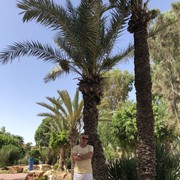 ���������� ������, ���� ������� �����, 51 ���, ������������ ��� ������, ����� � ���������, c�������� ���������