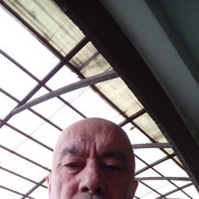 ���������� ������, ���� ������� �����, 65 ���, ������������ ��� ����� � ���������, c�������� ���������