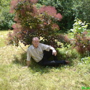 ���������� ������ ���, ���� ������� ����, 60 ���, ������������ ��� ������, ����� � ���������, c�������� ���������