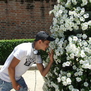 ���������� ������, ���� ������� �����, 36 ���, ������������ 