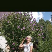 ���������� ����������, ������� ����, 56