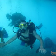 ���������� �����, ���� ������� �����, 33 ����, ������������ ��� ������