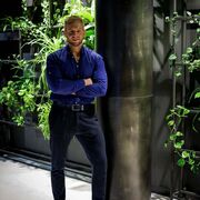 ���������� ���������, ���� ������� ����, 39 ���, ������������ 