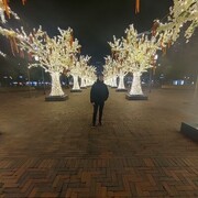  ,  Ali, 25