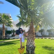 ���������� ������, ���� ������� �����, 36 ���, ������������ ��� ������, ����� � ���������