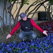 ���������� �����-���������, ���� ������� ����, 29 ���, ������������ ��� ������, ����� � ���������, c�������� ���������, ���������