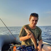 ���������� ������, ���� ������� ��������, 31 ���, ������������ ��� ������, ����� � ���������