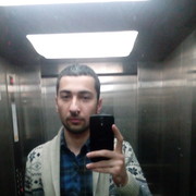  ,   Enzo, 40 ,   ,   , c 