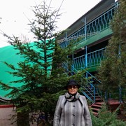  ,   , 62 ,  