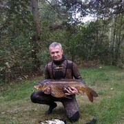 ���������� �����-���������, ���� ������� �������, 50 ���, ������������ ��� ������, ����� � ���������