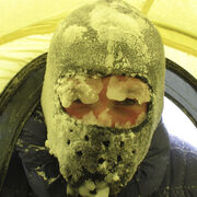 ���������� �����������, ���� ������� �����, 42 ����, ������������ ��� ������, ����� � ���������, ���������