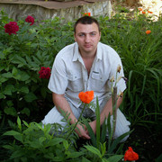 ���������� �������, ���� ������� ������, 44 ����, ������������ ��� ����� � ���������, c�������� ���������