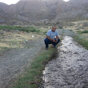  ,  allaberdi, 38