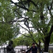   ,   , 36 ,   ,   , c , 