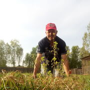 ���������� ������������, ���� ������� �����, 58 ���, ������������ ��� ������, ����� � ���������, c�������� ���������, ���������