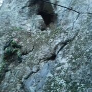 ���������� �����������, ���� ������� ������, 38 ���, ������������ ��� ������, ����� � ���������, c�������� ���������, ���������